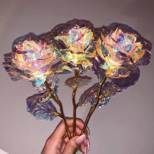 The Galaxy Rose