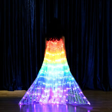Load image into Gallery viewer, Children&#39;s LED butterfly wings